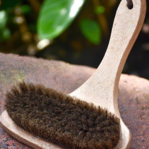 The Best Compostable Cleaning Tools For Your Home