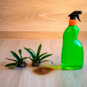 The Best Green Floor Cleaners For Your Home