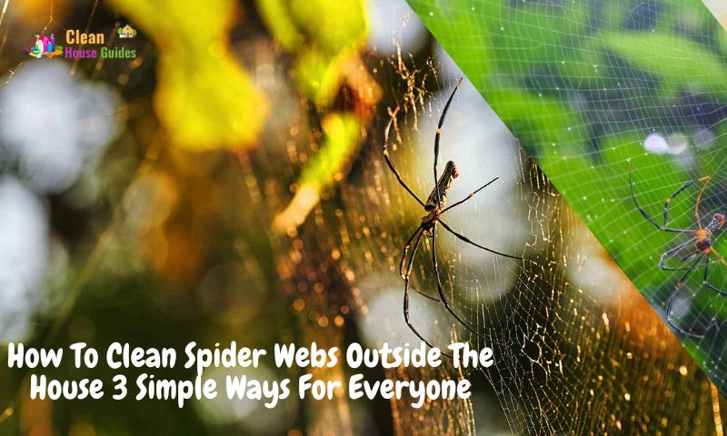 How To Clean Spider Webs Outside The House - 3 Simple Ways For Everyone