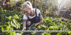 How to Clear a Vegetable Garden Full of Weeds: Top 10 Effective Ways