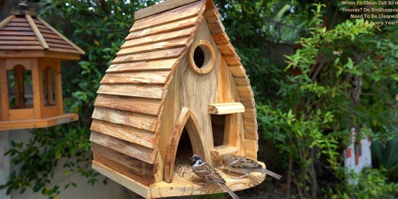 When To Clean Out Bird Houses? Do Birdhouses Need To Be Cleaned Every Year?